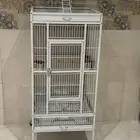 قفص كبير لبغبغاء الكاسكو للبيع