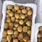 تمر روثانه المدينه مناصيف فاخره