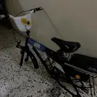 رامبو قطب للبيع اصلي