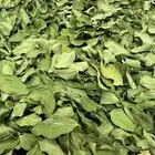 ابيع السدر من سدرتي الخاصه للطلب على الخاص