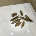 عود سيوفي فتنامي محسن فاخر