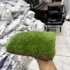 بيع و تركيب موكيت و سجاد و فينيل و انجيلا خبره اكثر من 10