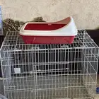 قفص كبير نظيف للبيع مع ليتر بوكس مجانا