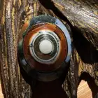 سليماني داوودي