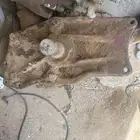 دودة بوز