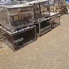 شبوك محاكر دجاج وحمام