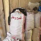 خبز