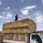 تبن بر جديد