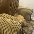 اثاث غرفة معيشة انتيك للبيع