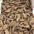 عود مروكي المجالس طبيعي محسن