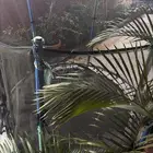 نطيطه اطفال حجم وسط