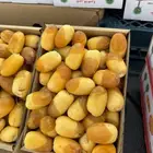 رطب خلاص الهياثم حبه كبير وفاخر