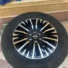 جنوط بلاتينيوم 2023