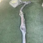 كت باك بوليت مع واي بايب راكب على سلفرادوا 2021 للبيع