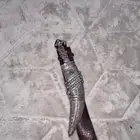 ذريع فضه الطول 33 سانتي   تواصل واتس فقط