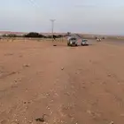 وايت سكس للبيع