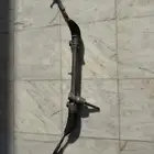 دودة كورلا 2022