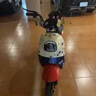 دباب بطه كهربائي