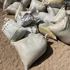 سماد اغنام غنم مزرعه
