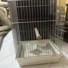 قفص عصافير