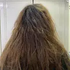 بروتين شعر