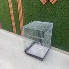 للبيع قفص ببغاء كبير كاسكو امزواني