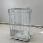 قفص