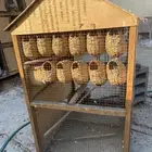 صندقة عصافير