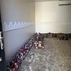 جلسه شعبيه جديده