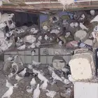 حمام بلدي