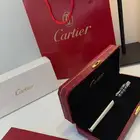 قلم كارتير سانتوس