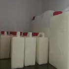 حليب ولبن أبقار طازج يومي