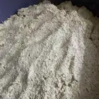 خضير صبيا من مزارعنا اخضر شرط