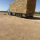 تريلة نقل البرسيم