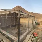غرفتين 3 3 شبك غنم نظيف شبه جديد