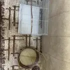 أقفاص للبيع