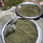 سنوت الديرة بلدي