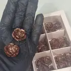 جديدنا بخور المستكة لتعقيم البيت وتنفع توزيعات
