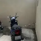 دباب صيني عجيب