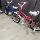 سياكل. باقي جديده.