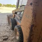 شيول بب كيسي