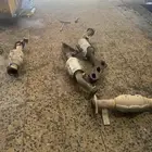 جيب ربع قزوز ودبه مفرغه