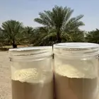 لقاح نخل عضوي صافي 100   القصيم