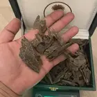 عود فيتنامي غابات نهكة كمبودية طبيعي