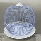 شبك عصافير