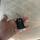 الأصلي