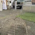 شبك دجاج للبيع