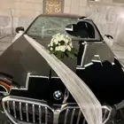 تشريع سيارات العرسان في الموقع