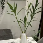 مزهرية نبات البامبو