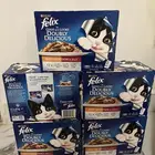 اكل قطط رطب